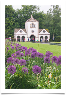 Bodnant Purple - Jackie Tucker